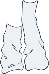 sock3